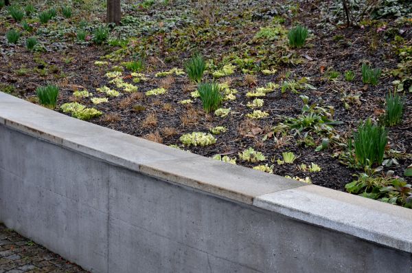 Concrete Wall Construction in Carmel