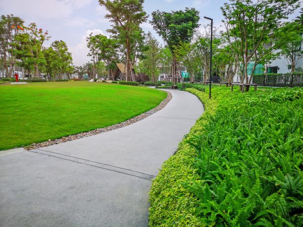 Cement Walkway Service in Carmel