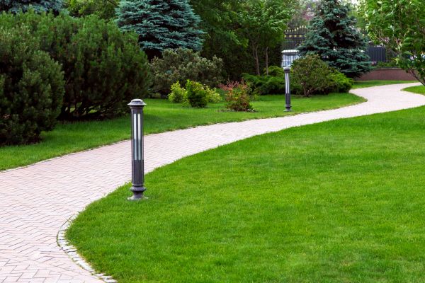 Backyard Sidewalk Installation in Carmel