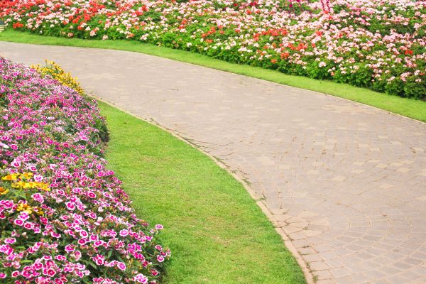 Concrete Walkway Service in Carmel